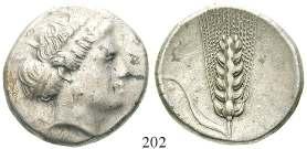 150,- 208 Hieron II., 274-216 v.chr. Bronze 274-216 v.chr. 6,05 g. Kopf des Poseidon l.