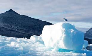 16 Jahren Klimawandel in der Arktis