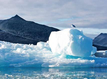 Das Eis der arktischen Meere schmilzt schneller als gedacht.