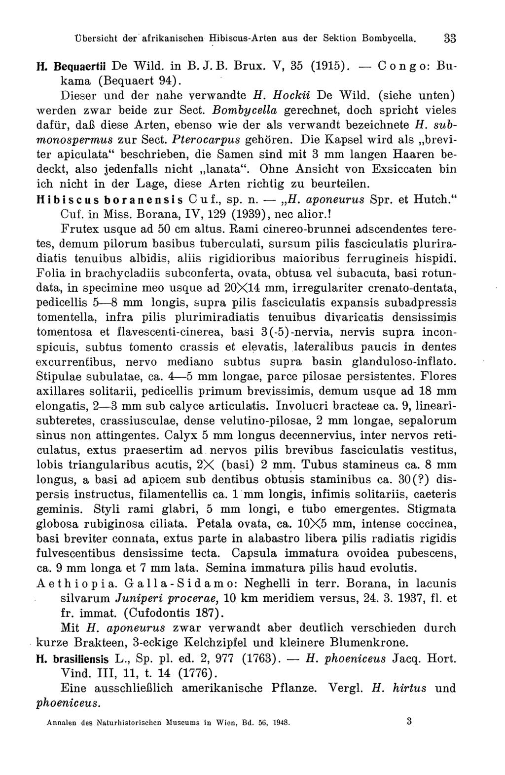 Übersicht der afrikanischen Hibiscus-Arten aus der Sektion Bombycella. 33 H. Bequaertii De Wild, in B.J.B. Brux. V, 35 (1915). Congo: Bukama (Bequaert 94). Dieser und der nahe verwandte H.