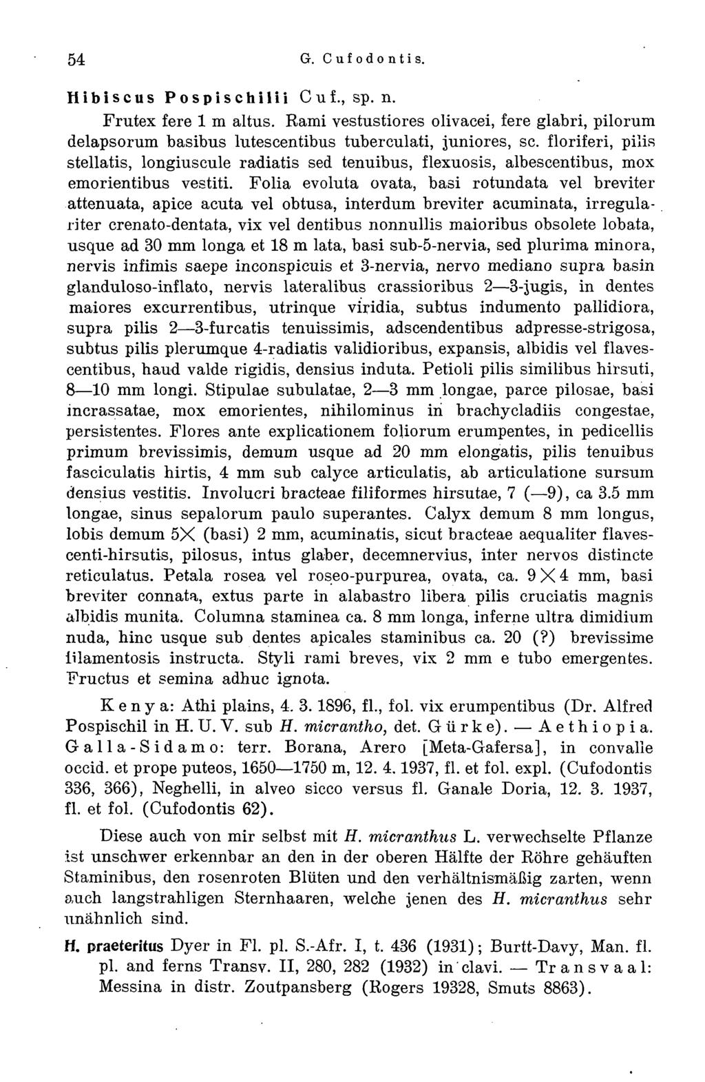 54 G. Cufodontis. Hibiscus PospischiliiCuf.,sp.n. Frutex fere 1 m altus. Rami vestustiores olivacei, fere glabri, pilorum delapsorum basibus lutescentibus tuberculati, juniores, se.