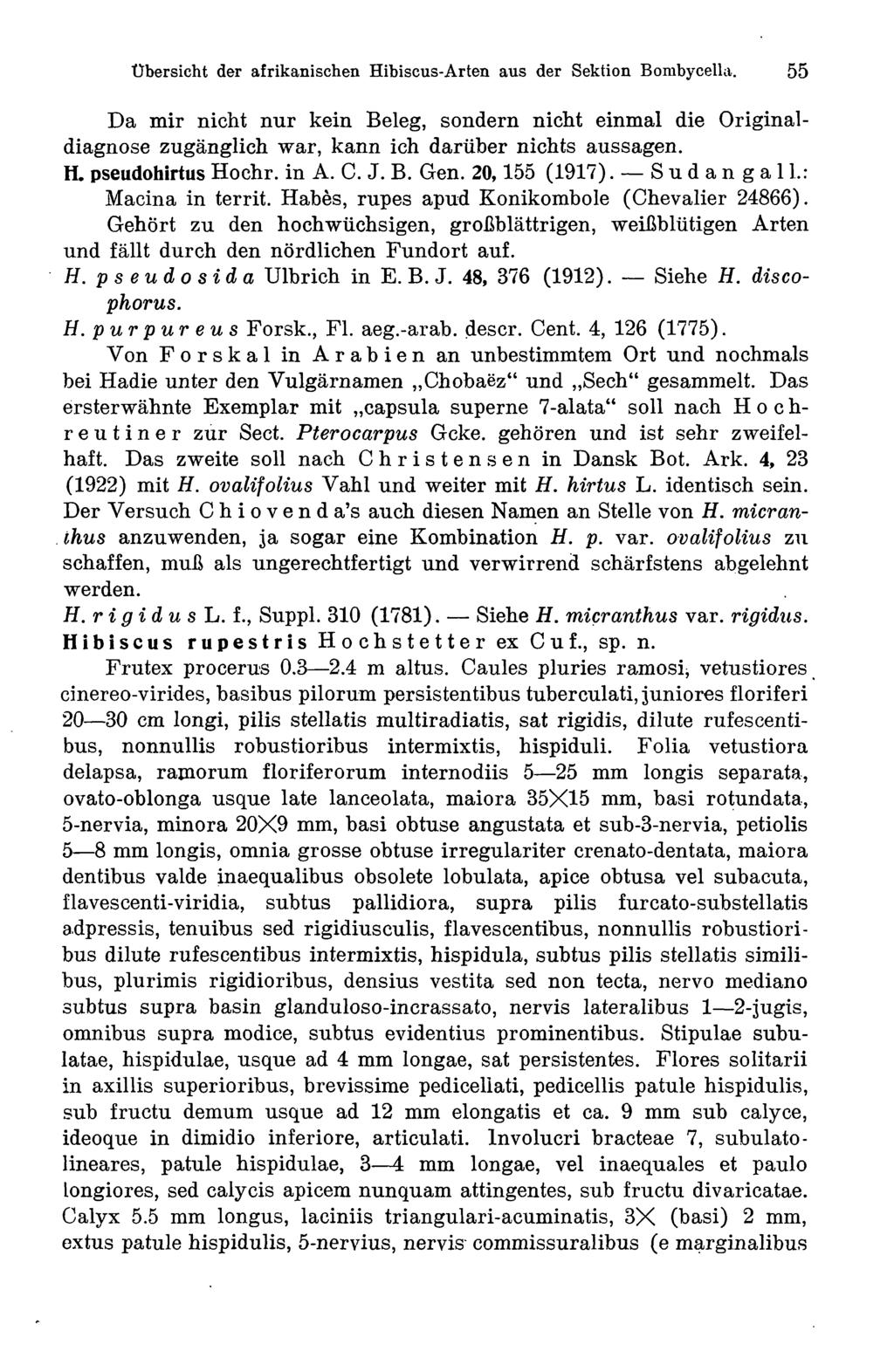 Übersicht der afrikanischen Hibiscus-Arten aus der Sektion Bombycella. 55 Da mir nicht nur kein Beleg, sondern nicht einmal die Original - diagnose zugänglich war, kann ich darüber nichts aussagen. H. pseudohirtus Hochr.