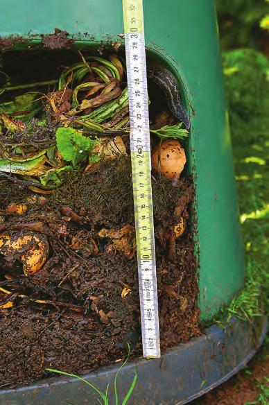Falls auch Küchenabfälle kompostiert werden sollen, sollte eine Bodenplatte vorhanden sein: Sie verhindert, dass Nagetiere den Kompost für sich entdecken.