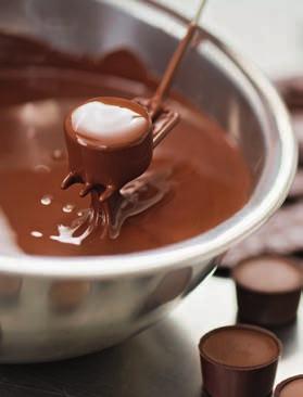 Entdecken Sie, woher die Kakaobohnen kommen und wie diese in Bilten zu Schokoladenmasse verarbeitet werden.