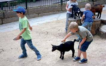 Meine Kindergartengruppe, die Schlaufüchse, machten einen Wandertag nach Halle in den Zoo. Schüler und Pädagogen der Jahnschule Leuna S. Sadlo Rektorin Ausflug zur Festwiese Am Freitag, dem 03.06.