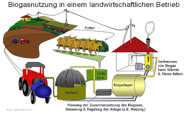 Ein Kraftwerk Die Biogasanlage Es gibt verschiedene Kraftwerke, die Strom erzeugen. Manche sind gut, manche sind nicht so gut. Eine neue Art Kraftwerk ist die Biogasanlage.