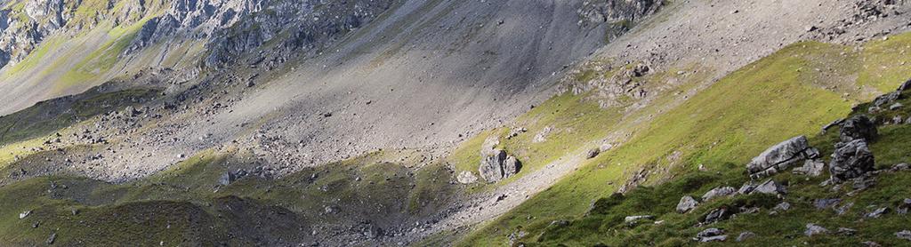 Zuerst zieht der Weg in abschüssigem Gelände hinunter ins Parseiertal. Die Höhenmeter macht man wieder wett beim Aufstieg ins Langkar und zur Grießlscharte.