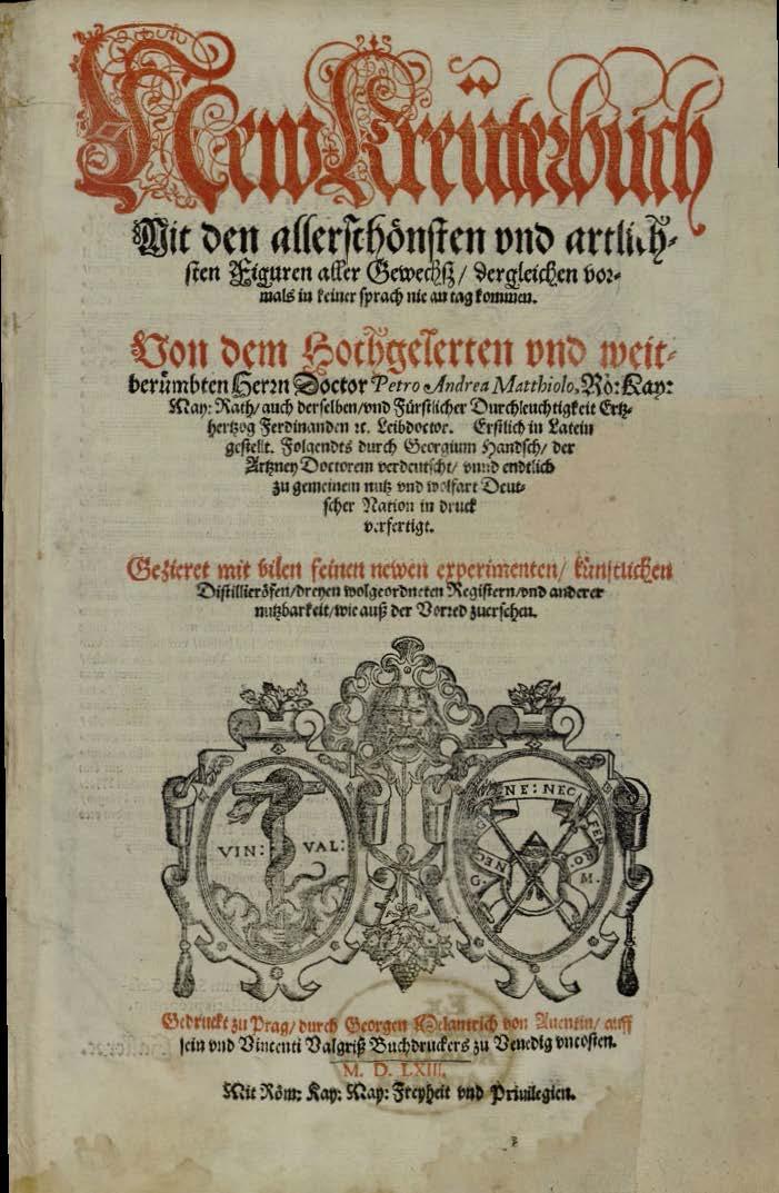Mattiolis Deutsches Kreuterbuch von 1563 mit Holzschnitten aus Augsburg (Foto: