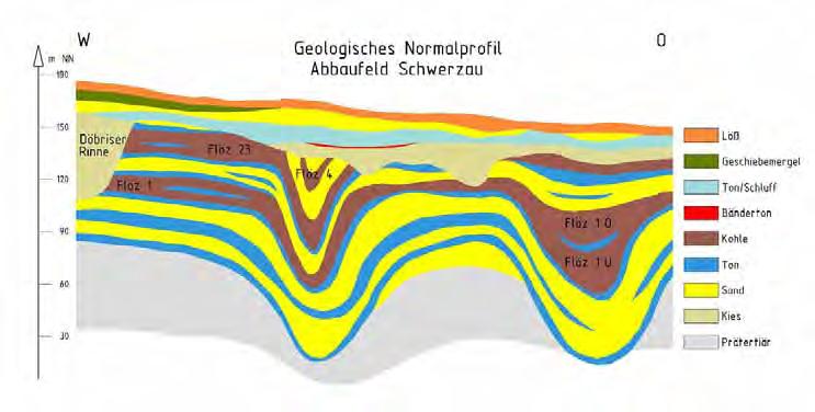 Spezifische Geologie des Abbaufeldes Schwerzau Abbauwürdige Bildung der Flöze: Kohle vor 45-20 Mio.