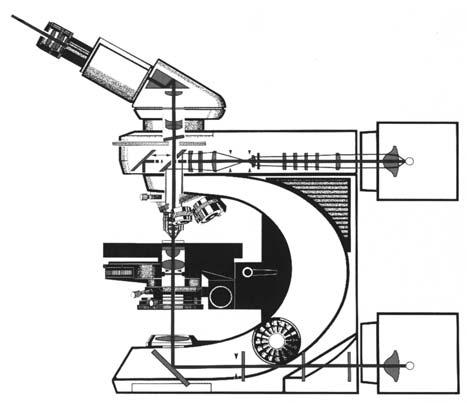 .04.008.. Lichtmikroskopie Studieneinheit II... ufbau eines Lichtmikroskops... Die uflösung des Lichtmikroskops... Einteilung der Lichtmikroskope..4. Beleuchtungsarten..5.
