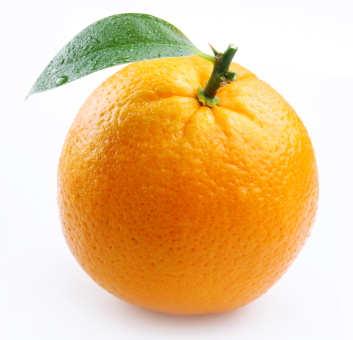 19 Orangen Weihnachtsaktion des CVJM Wie jedes Jahr veranstaltet der CVJM auch in diesem Jahr wieder die Orangenaktion. An folgenden Terminen werden Orangen verkauft. 7.