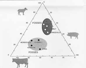 Nahrungsmittel zum Tragen kommen, so dass sich ärmere Schichten womöglich nur noch ausnahmsweise Rindfleisch leisten konnten, während die Käufer des Rindfleisches nun im Gegensatz zu bäuerlichen
