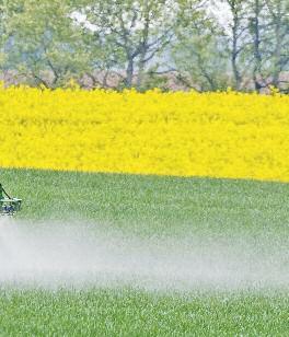 Der NABU will den Handel auffordern, die Produkte aus dem Sortiment zu nehmen. In Deutschland werden jährlich über 7.000 Tonnen Pestizide in Haus- und Kleingärten verwendet.