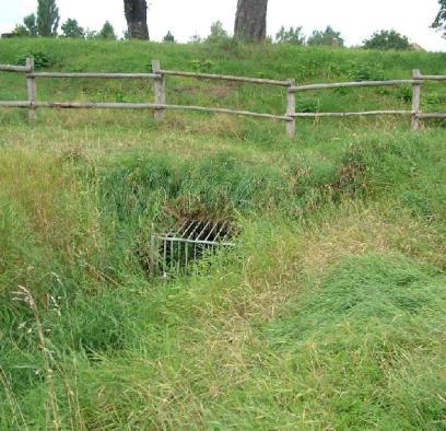 Größe des Einzugsgebietes 6,6 km² durchschnittliches Fließgefälle* 0,9 % Zuflüsse* stehende Gewässer im Gewässersystem* (Haupt- und Nebenschluss) Quellen im Gewässersystem* 2 Tiefer Grundbach