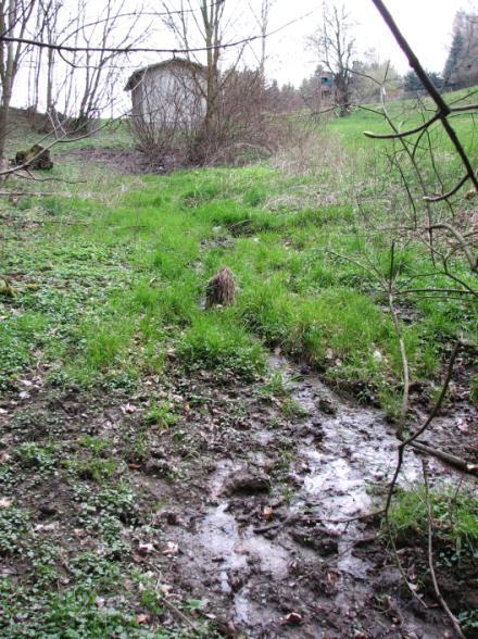 Siehe auch Abb. 1 Im Einzugsgebiet des Graupaer Baches wurden zwei Quellen erfasst.