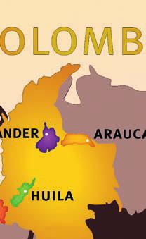 Kolumbien ohne Zwischenhandel, zu einem