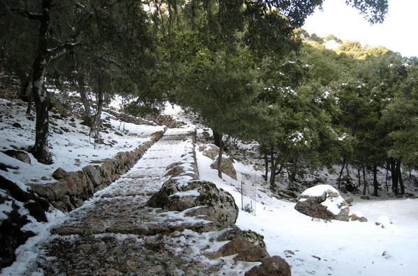 Dienstag, 31. Januar 2012: Das erste Ziel ist der ca 1200 Meter hohe Puig Galileu.
