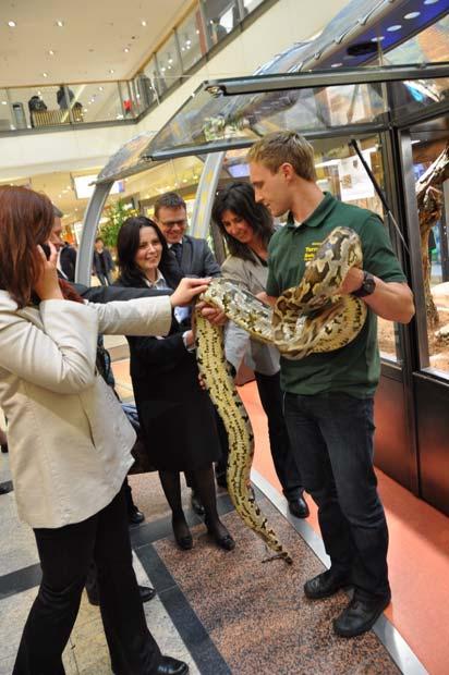 Das Konzept Unsere Ausstellung zeigt den Besuchern Reptilien aus aller Welt.