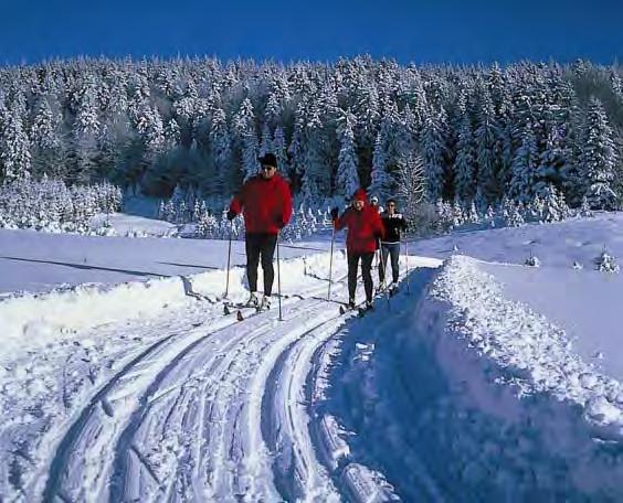 Der Naturpark Südschwarzwald Ideenbörse und Initiator von Projekten Der Naturpark Südschwarzwald setzt zusammen mit lokalen