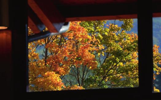 3 Bilder der Woche - von Kurt Glückler Der Herbst hält Einzug und zeigt farblich