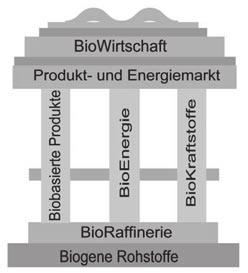 49 Energielandschaften und nachwachsende Rohstoffe Ein Plädoyer für die industrielle stoffliche und energetische Nutzung nachwachsender Rohstoffe aus Kulturlandschaften in Deutschland 1 Dr.