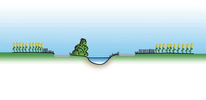 7 Gewässer Neigung steiler als 50 % 7. Pufferstreifen entlang Oberflä chengewässer mit langer, steiler Böschung d. h.