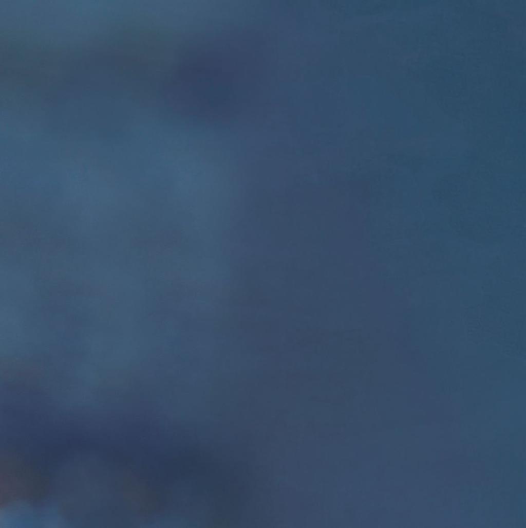 S Ü D L I CHES EI SFEL D Perito-Moreno-Gletscher SÜDAMERIKA El Calafate Santiago Buenos Aires Erfahrung NATIONALPARK TORRES DEL PAINE Puerto Natales ARGENTINIEN CHILE Insel Magdalena Punta