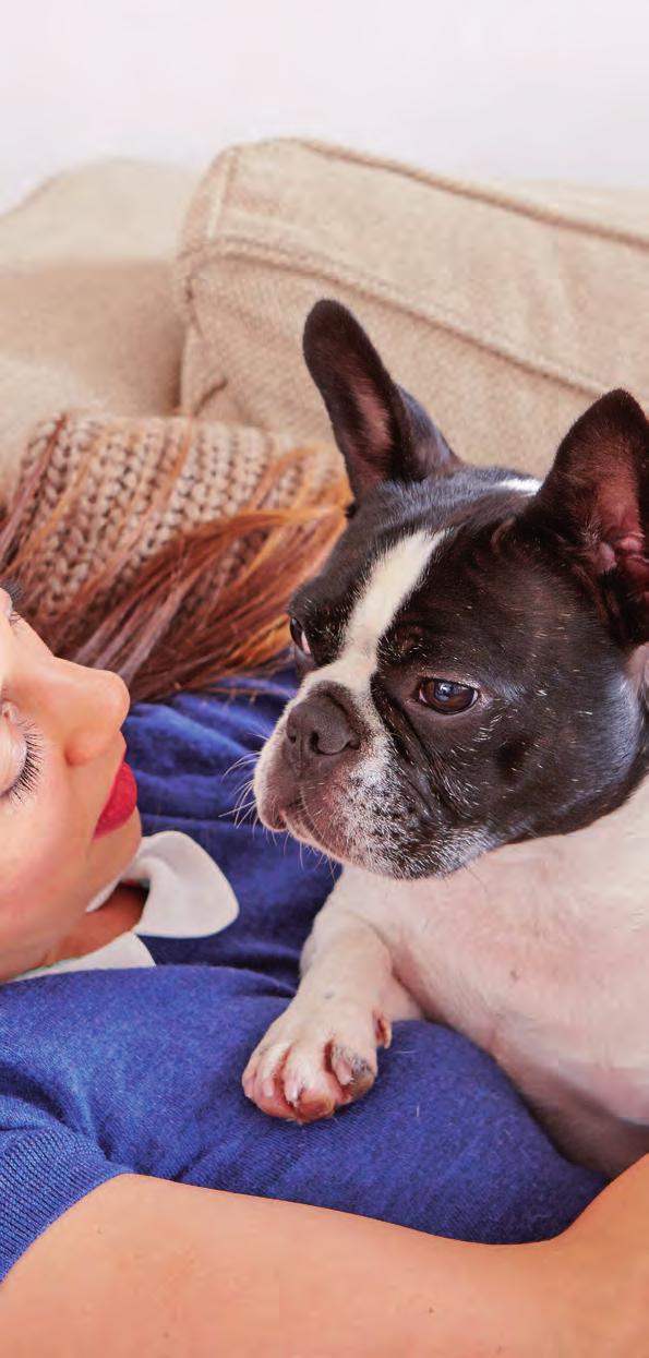 Für ein entspanntes Zusammenleben Fördert das Wohlbefinden Ihres Hundes und hilft ihm, sich von stressbedingten Verhaltensweisen zu lösen.
