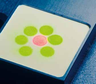 1 2 3 4 AUTOMATISIERBARE μfacs-systeme FÜR DIE KLINISCHE DIAGNOSTIK In der Labordiagnostik werden zum Nachweis von Pathogenen, Tumorzellen und Markermolekülen FACS-Geräte (Fluorescence Activated Cell
