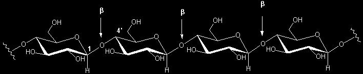 Cellulose - ein 1,4'-O-(β-D-glucopyranosid)-Polymer Cellulose besteht aus etwa 3000 Monomereinheiten und hat eine molare Masse von etwa 500 000.