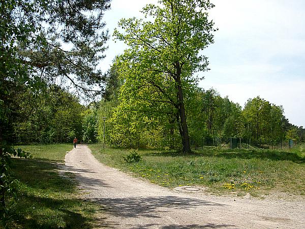 Empfehlungen Stadtpark