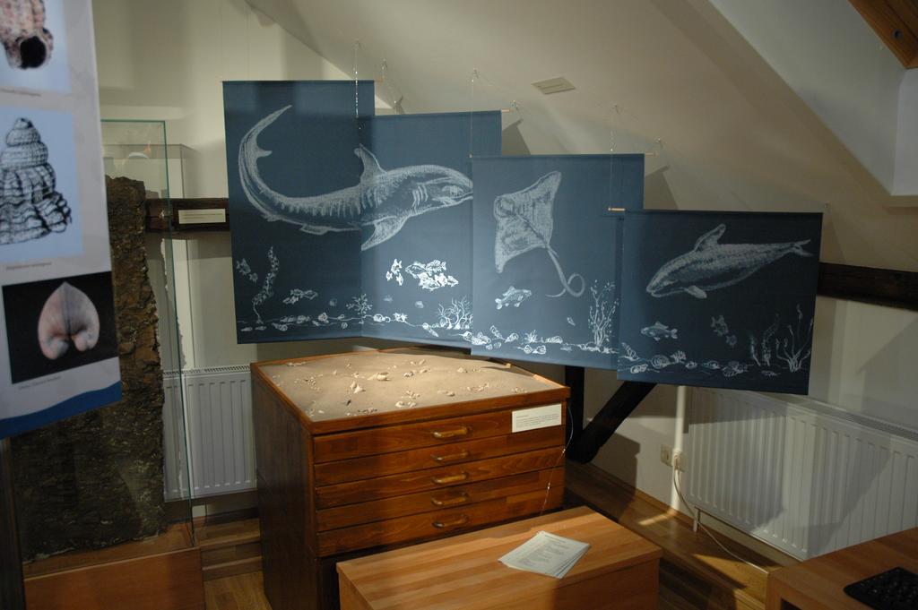 Arbeitskreis Paläontologie Hannover 36 (2008) 29-31 29 Twistringer Fossilien nun im Museum zu sehen Jens LEHMANN Wohl jedem Fossiliensammler in Niedersachsen ist der Ortsname Twistringen, südlich von