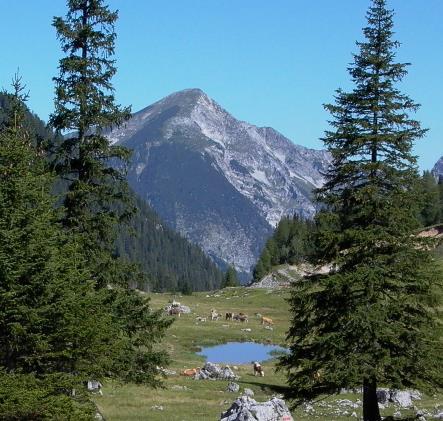 4 Abs. 5 Alpenkonvention Im Rahmen der Erstellung und Änderung von Plänen und Programmen sind die Zielsetzungen des Übereinkommens zum Schutze der Alpen (Alpenkonvention) zu berücksichtigen.