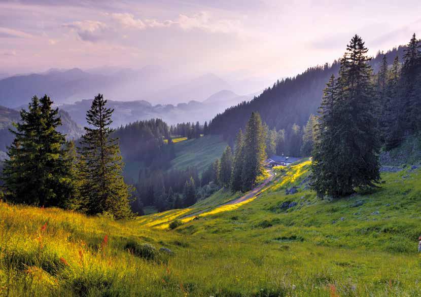 Foto 25 Jahre Naturschutzgebiet Geigelstein Begründet wurde die Idee zur Ausweisung eines Naturschutzgebietes am Geigelstein ursprünglich in dem Bemühen, die Region vor einer touristischen Nutzung