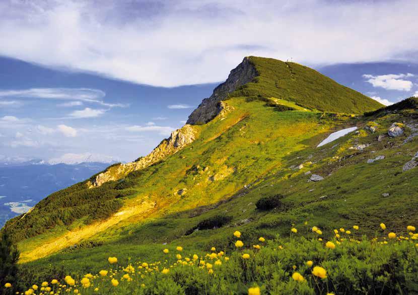 Naturschutzgebiet Geigelstein Gipfel der Biodiversität Gämse Der Geigelstein Tüpfel-Enzian auf der Roßalm Im westlichen Bereich der Chiemgauer Alpen liegt der Geigelstein und stellt mit seinen 1808 m