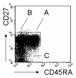 29 Abb. 4 Abb.4: CD4 + T-Zell Subpopulationen im peripheren Blut Dargestellt ist eine Färbung von CD45RA und CD27 auf peripheren CD4 + T-Zellen eines repräsentativen Spenders.