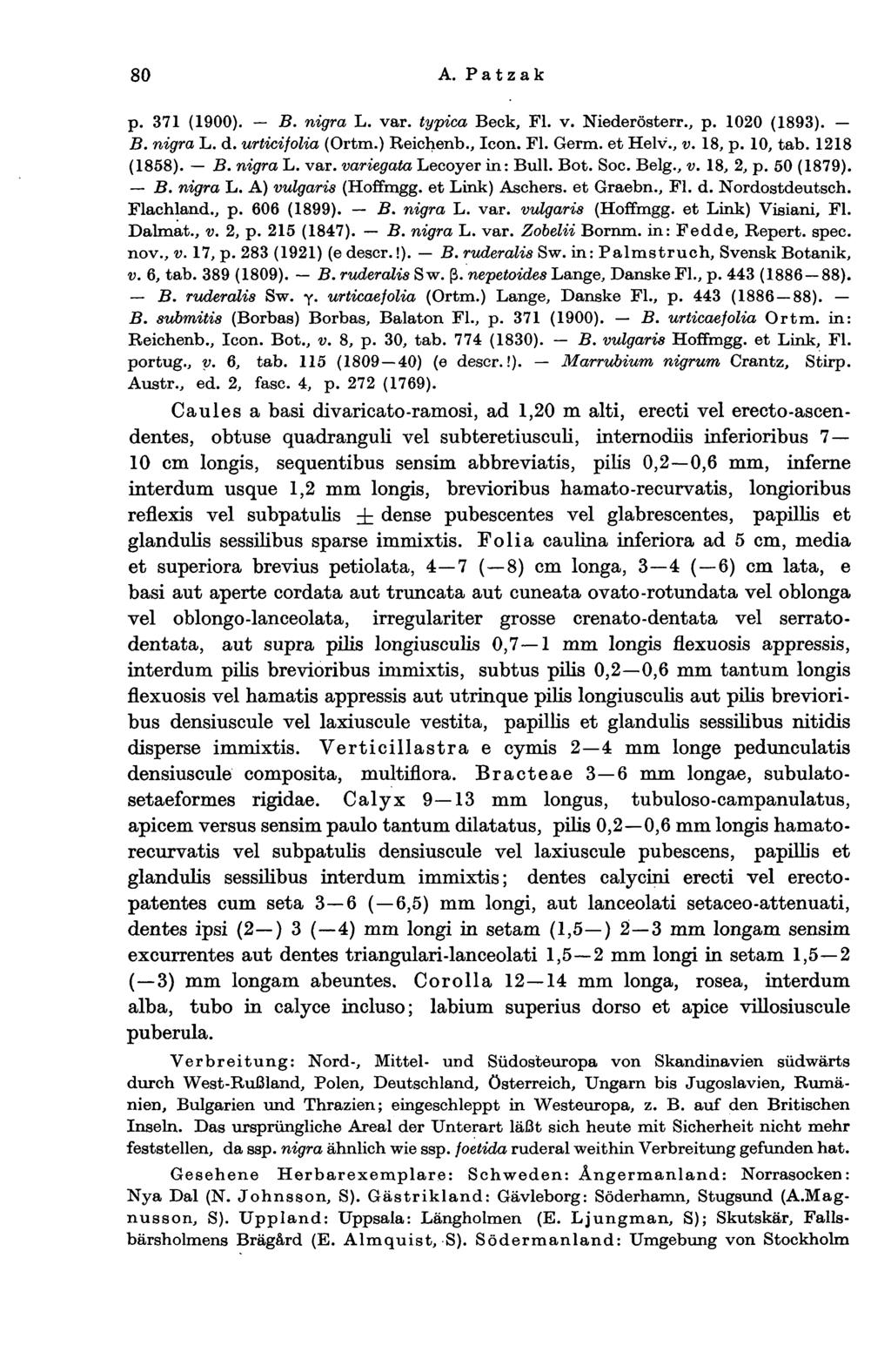 80 A. Patzak p. 371 (1900). B. nigra L. var. typica Beck, Fl. v. Niederösterr., p. 1020 (1893). B. nigra L. d. urticifolia (Ortm.) Reichenb., Icon. Fl. Germ, et Helv., v. 18, p. 10, tab. 1218 (1858).