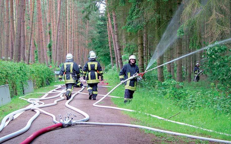 Ausbildung Waldbrandübung mit 200 Einsatzkräften Der Landkreis Mecklenburg-Strelitz führte die Katastrophenschutzübung Tollense 09 durch.