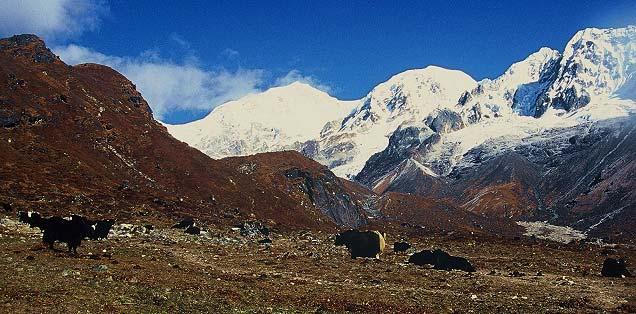 8.Tag: Bikbari 3950m F/M/A Zeltcamp Wer möchte kann noch den Dzongri Top 4300m besteigen, um den Sonnenaufgang am Kabru zu fotografieren.