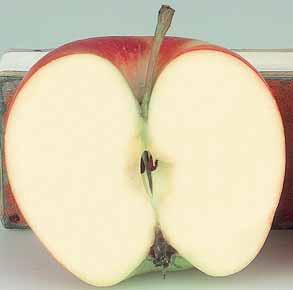 000 Tonnen Äpfel geerntet*. Jeder Österreicher verzehrt im Durchschnitt rund 30 Kilo Äpfel im Jahr. Die Steiermark Heimat der Ja! Natürlich Bio-Äpfel Die Bio-Äpfel der Marke Ja!