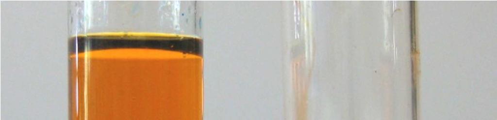 3 Schülerversuche 11 Abb. 6 - Löslichkeit von Petroleumbenzin in Wasser (links) und Öl (rechts) angefärbt mit Sudanrot und Methylenblau.