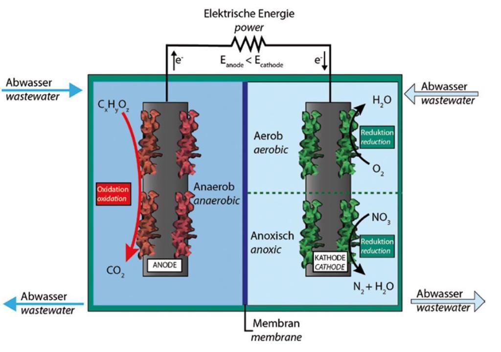 3 Projekte Biobrennstoffzelle BioBZ Die bio-elektrochemische Brennstoffzelle als Baustein einer energieerzeugenden Abwasserbehandlungsanlage Entwicklung,