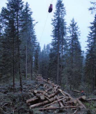 Weltpremiere bei den Bergholztagen: Herzog Forsttechnik präsentierte eine Harvester-Traktionswinde als Anbaulösung.