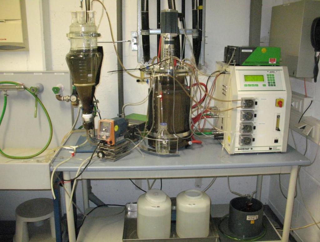 Exemplarische Untersuchungen zu den Summenparametern Der Belebtschlammreaktor B1 ist mit einem Begasungsring für die feinblasige Sauerstoffverteilung versehen.