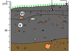Bodenprofile im Vergleich Ferrasol Terra Preta