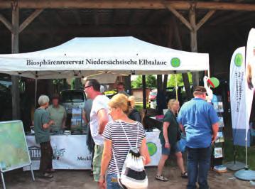 Zahlreiche Gäste konnten den ökologisch sanierten Raum in Krusendorf (Gemeinde Amt Neuhaus) bestaunen und sich dort auch selbst an kleineren Filzobjekten ausprobieren.