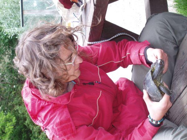 Die Mitwirkenden: Das Artenschutzprogramm Europäsche Sumpfschildkröte wurde bereits kurz nach der Gründung des Nationalparks Donau- Auen ins Leben gerufen und beinhaltet die Erforschung und die