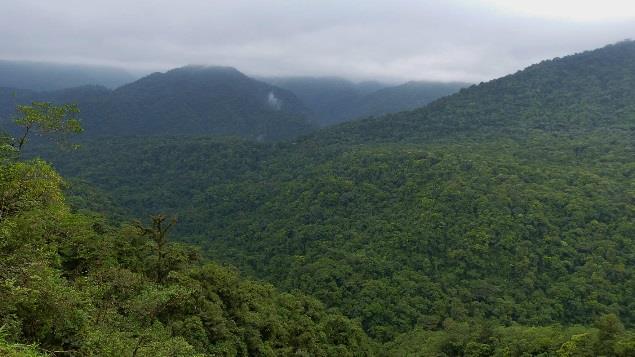 Nach aufregenden Stromschnellen fuhren wir weiter nach Sarapiqui welches als eine der vielseitigsten Regenwald-Destinatinonen Costa Ricas bekannt ist.