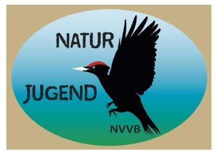 Jahresprogramm Jungvögel 2017 www.nvvbirmensdorf.ch Liebe Jungvögel und Vogelfamilien Wir freuen uns, dieses Jahr mit Euch den Wald in jeder Jahreszeit zu besuchen.