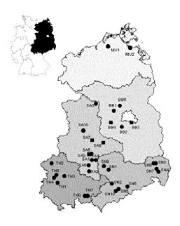 Ergebnisse 2001 2005: In diesem Zeitraum konnte die Zahl bearbeiteter U.-Flächen in Ostdeutschland von 13 auf 29 () gesteigert werden (s. Grafik).
